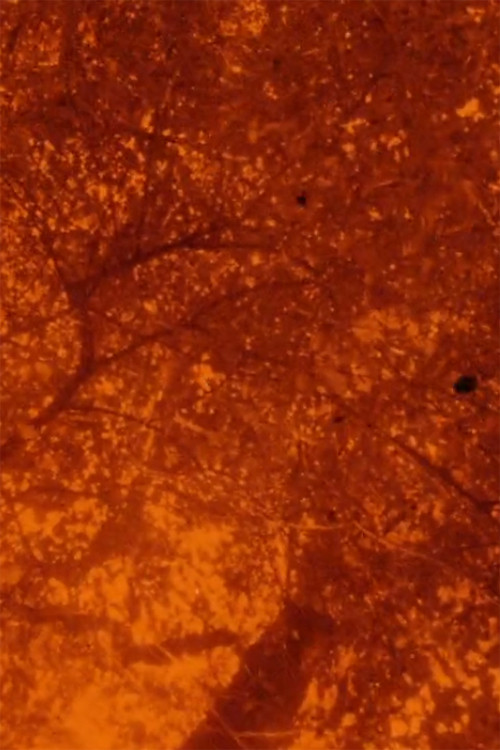 Movie poster for See Beneath the Static (2020)