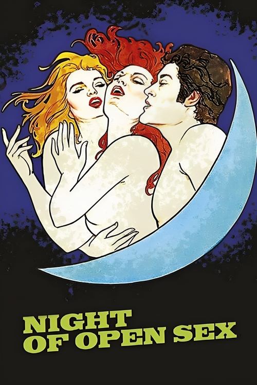 Movie poster for The Night Of Open Sex (1983)