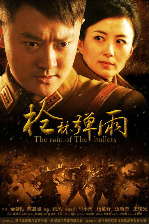 Series poster for 枪林弹雨 (2012)