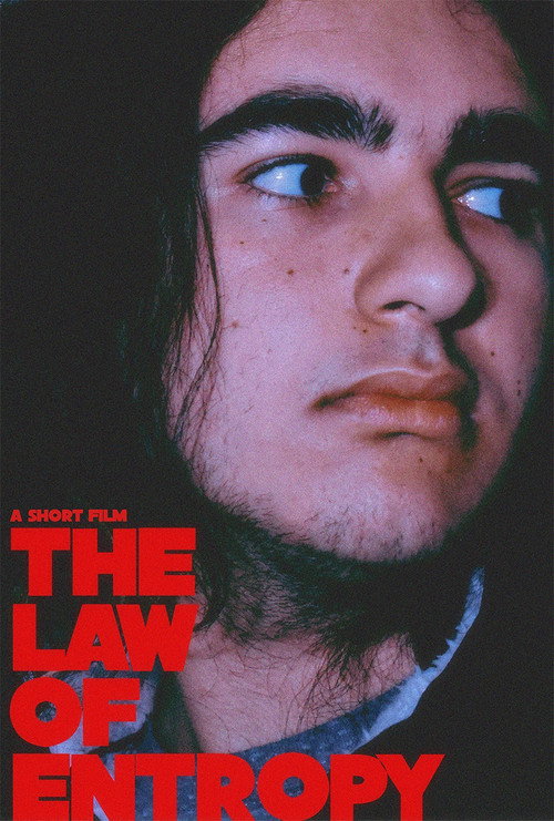 Movie poster for The Law of Entropy (2022)