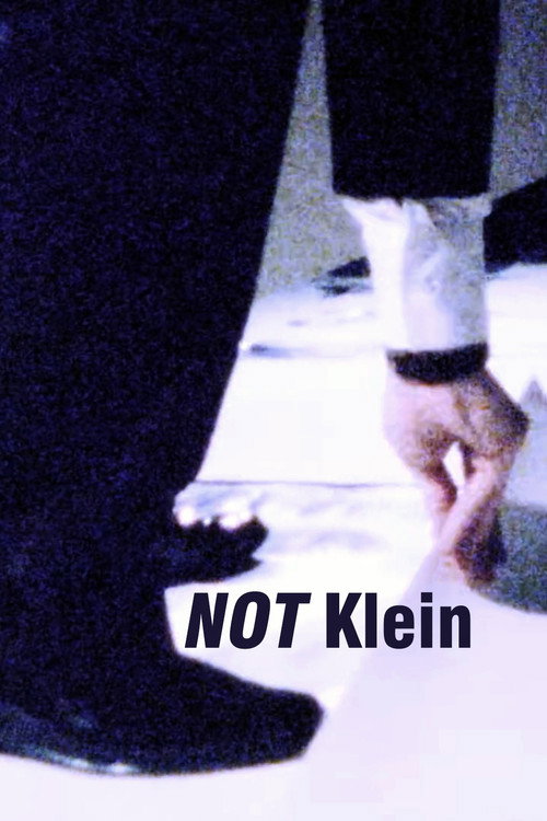 Movie poster for Mike Bidlo: NOT Klein (1985)