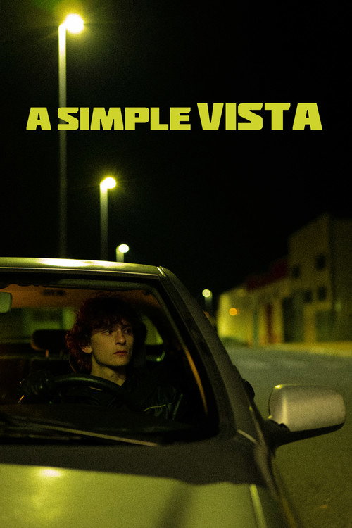 Movie poster for A simple vista (2026)