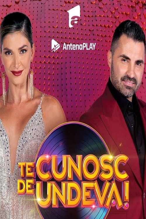 Series poster for Te cunosc de undeva