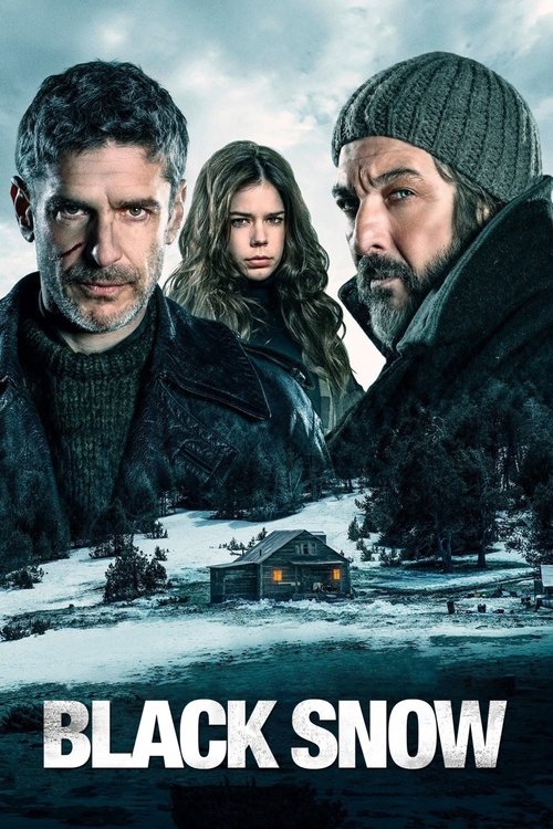 Movie poster for Black Snow (2017)