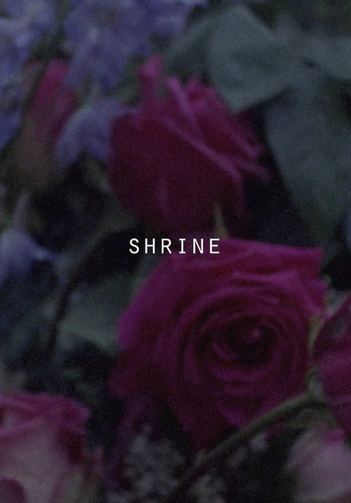 Movie poster for Shrine (2017)