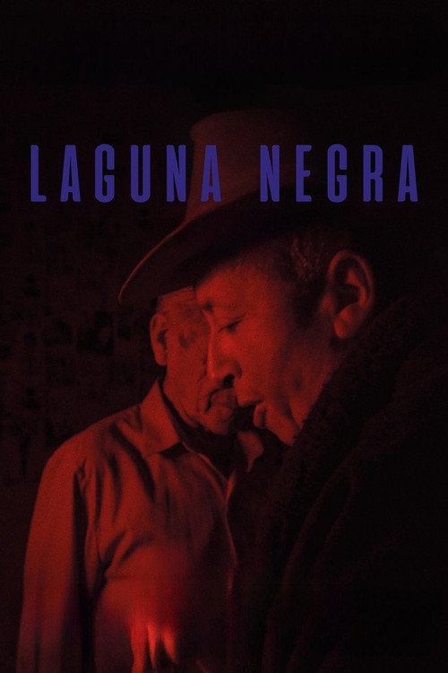 Movie poster for Laguna negra (2020)