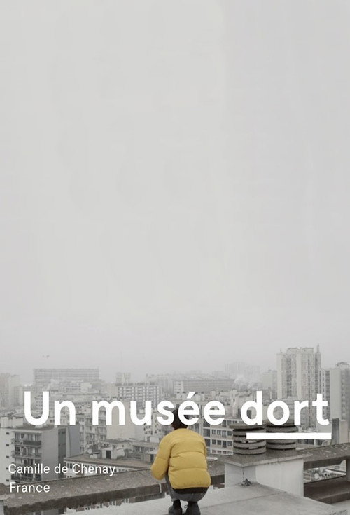 Movie poster for A Museum Sleeps (2020)