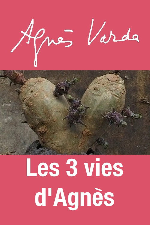 Movie poster for The 3 Lives of Agnès (2012)
