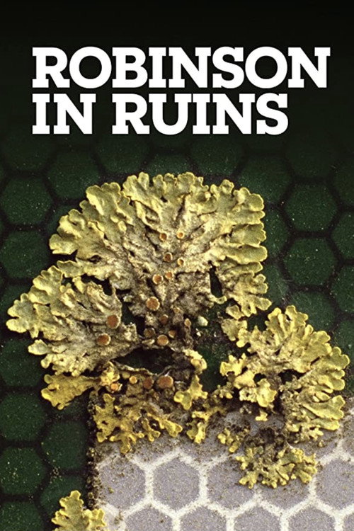 Movie poster for Robinson in Ruins (2010)