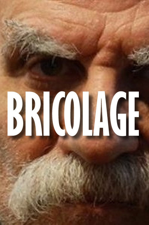 Movie poster for Bricolage (2008)
