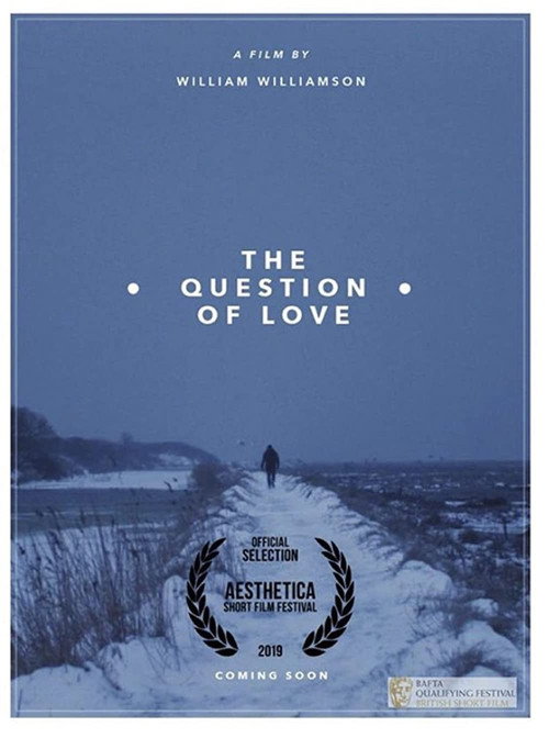 Movie poster for The Question of Love