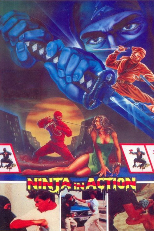 Movie poster for Ninja in Action (1987)