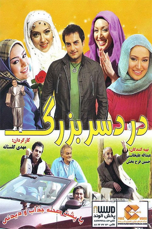 Movie poster for The Big Trouble (2010)