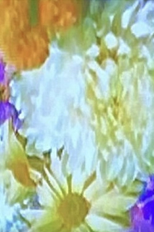 Movie poster for Meta-Marcel: Window (Flowers) (1976)