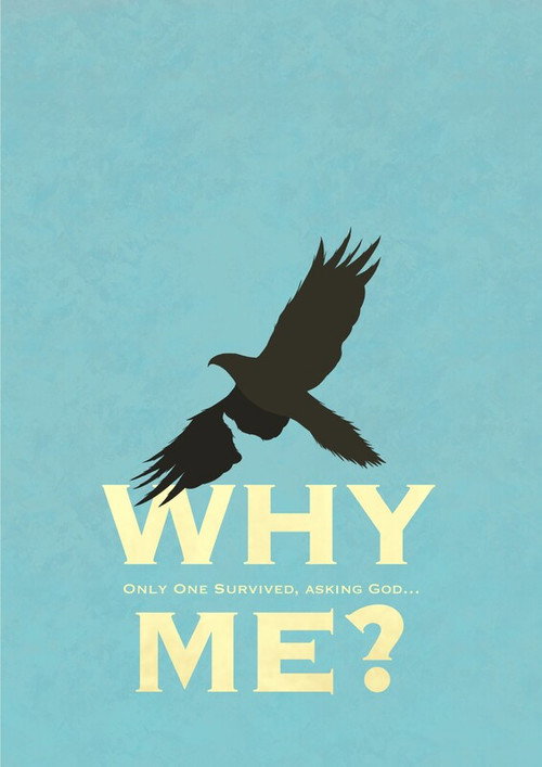 Movie poster for Why Me?