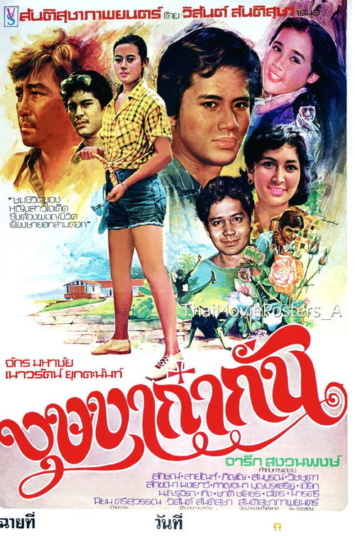 Movie poster for บุษบาก๋ากั่น (1978)