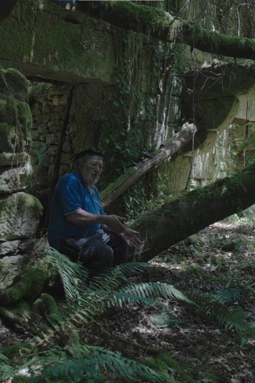 Movie poster for O Seixoval. A montaña máxica (2025)