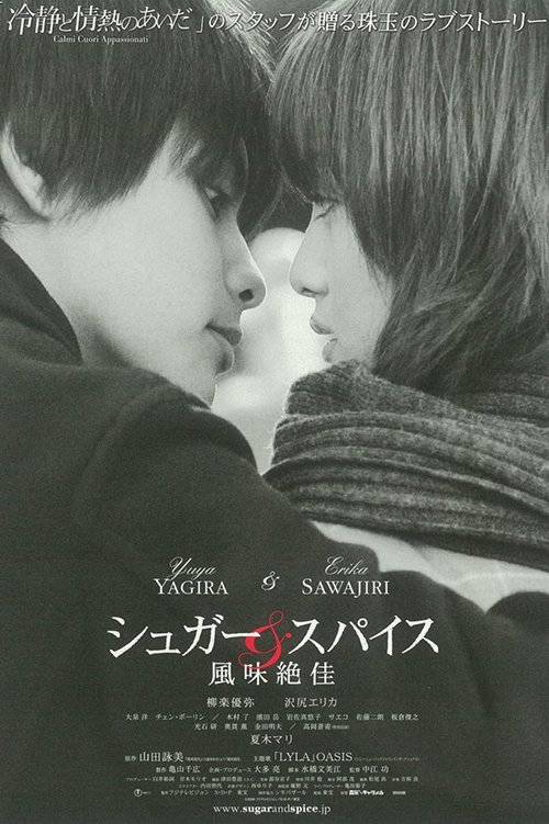 Movie poster for Sugar & Spice (2006)