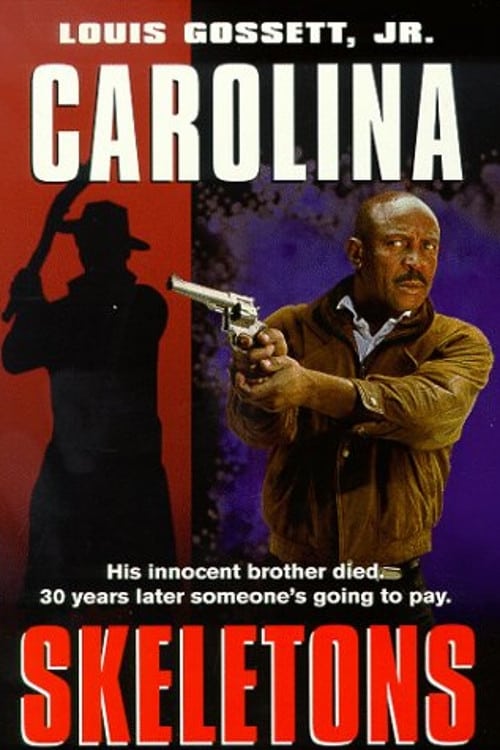 Movie poster for Carolina Skeletons (1991)