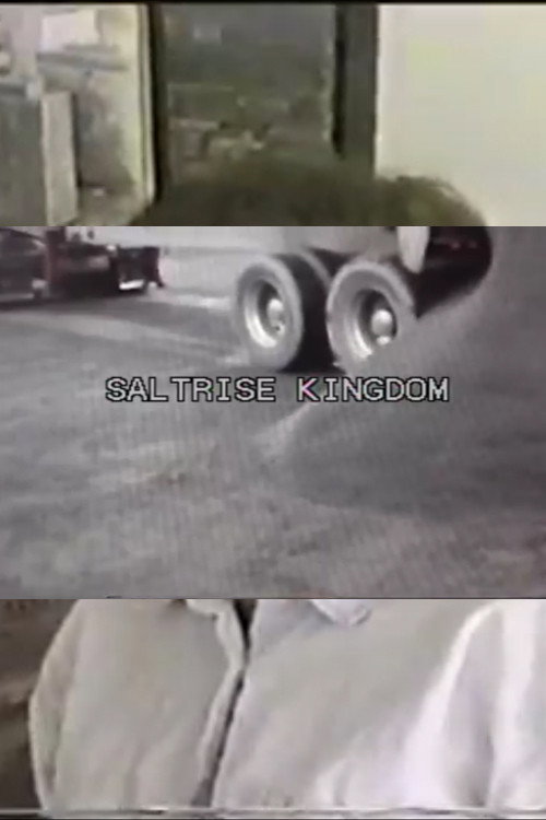 Movie poster for Saltrise Kingdom (2013)