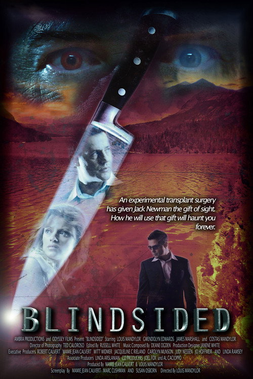Movie poster for Blindsided (2018)