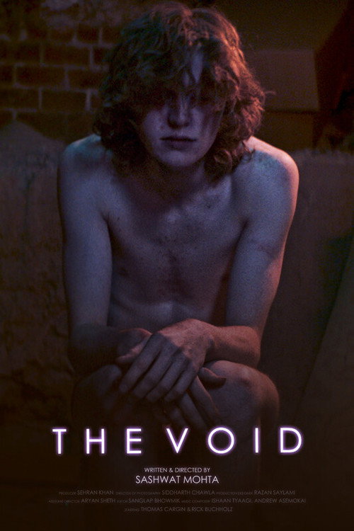Movie poster for The Void (2024)