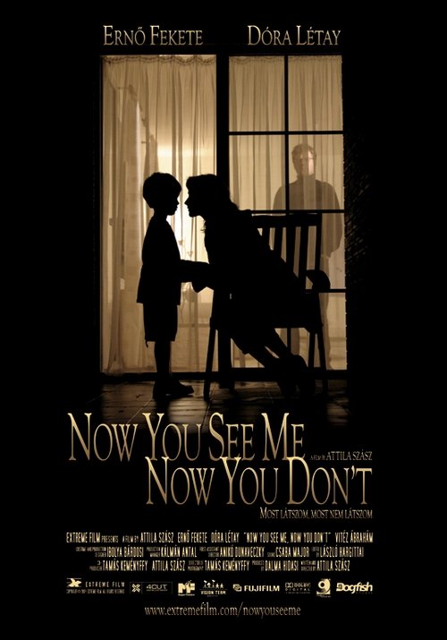Movie poster for Now You See Me, Now You Don't (2005)