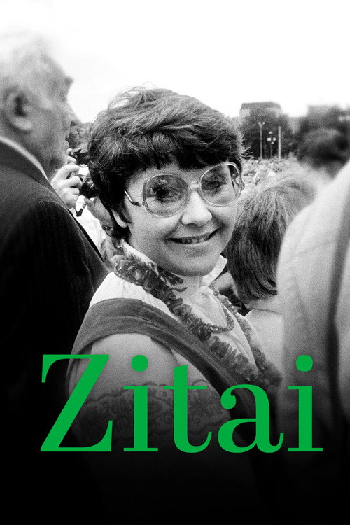 Movie poster for Zitai (2026)