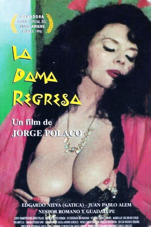 Movie poster for The Lady Is Back (1996)