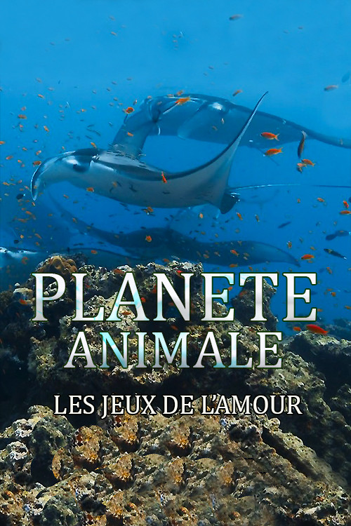 Planète Animale : Les jeux de l'amour poster