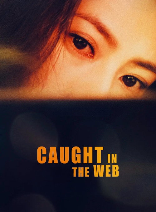 Movie poster for Caught in the Web (2012)