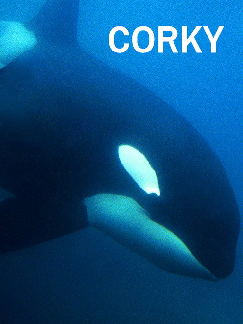 Movie poster for CORKY