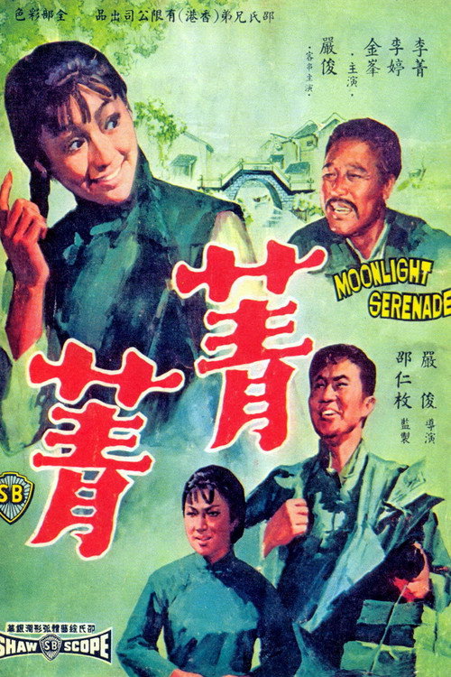 Movie poster for Moonlight Serenade (1967)