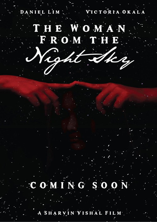 Movie poster for The Woman from the Night Sky (2023)