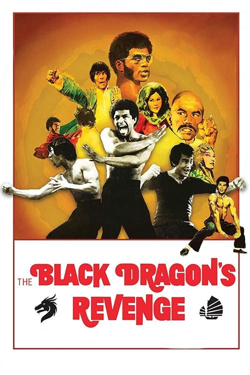 Movie poster for Black Dragon's Revenge (1975)