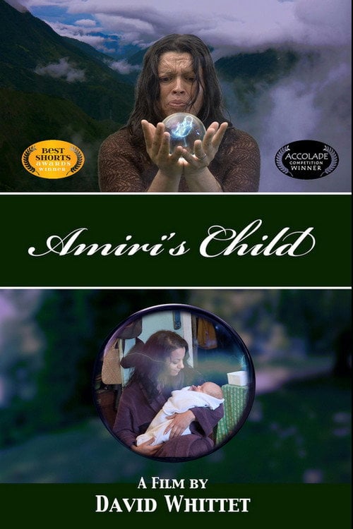 Movie poster for Amiri's Child (2014)