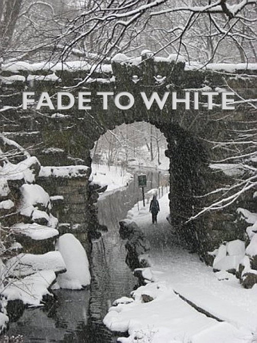 Movie poster for Fade to White (2014)