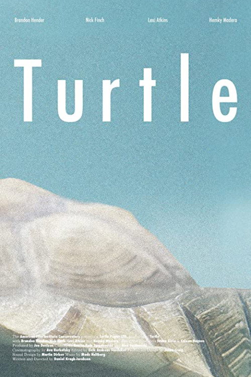Movie poster for Turtle (2014)