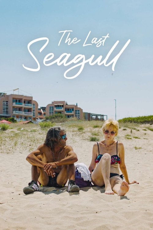 Movie poster for The Last Seagull (2023)