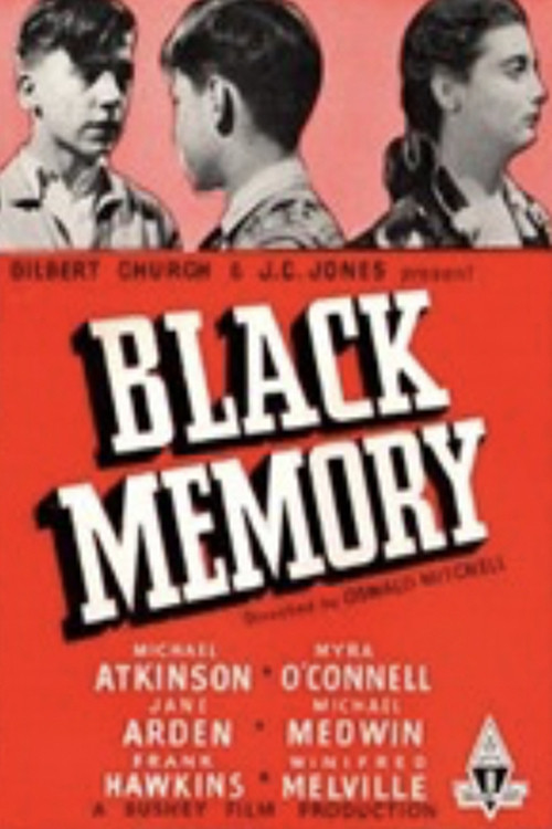 Movie poster for Black Memory (1947)
