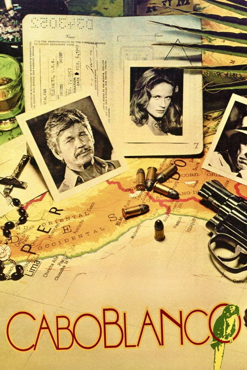 Movie poster for Caboblanco (1980)