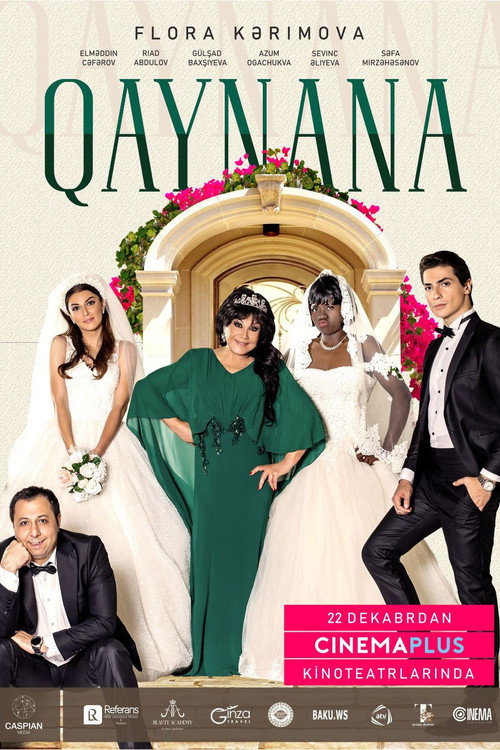 Movie poster for The Mother-in-Law (2018)