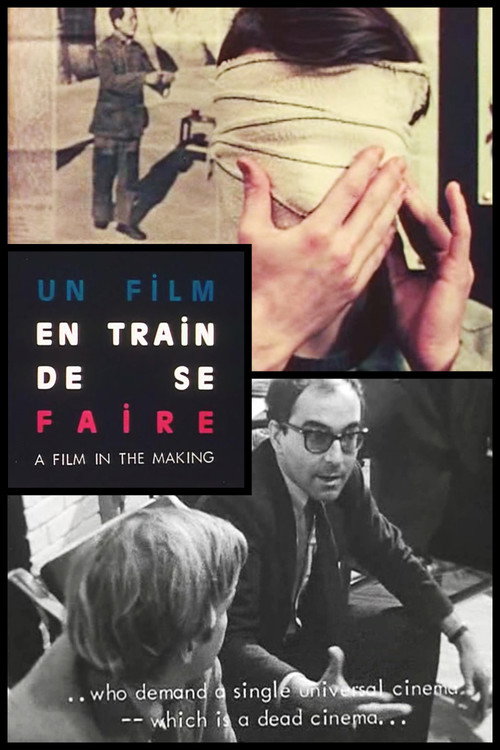 Movie poster for Two American Audiences: La Chinoise - A Film in the Making (1968)