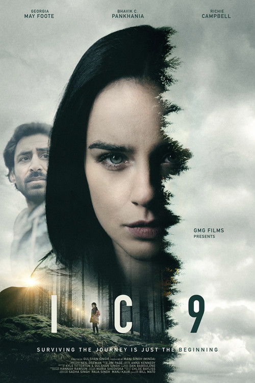 Movie poster for IC9 (2024)