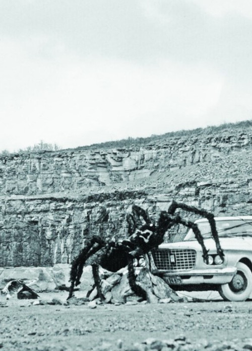 As Long as the Stratified Animal Lights Up poster