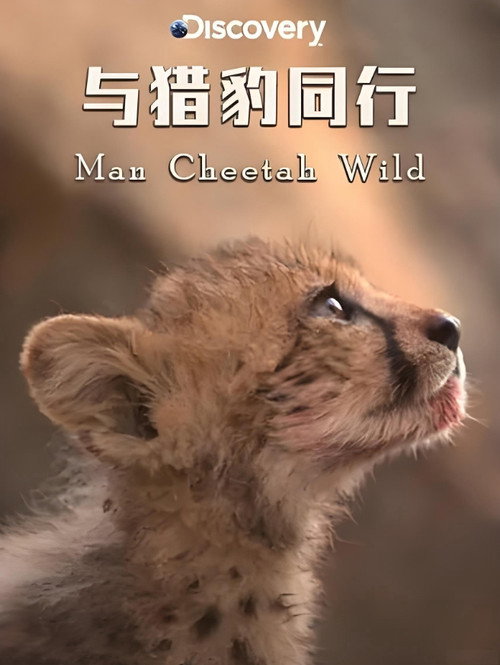 Movie poster for Man Cheetah Wild