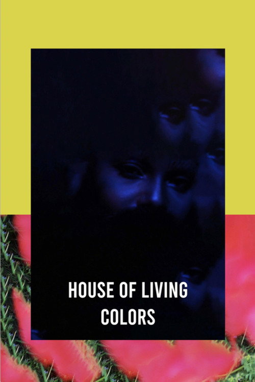 Movie poster for House of Living Colors (2019)