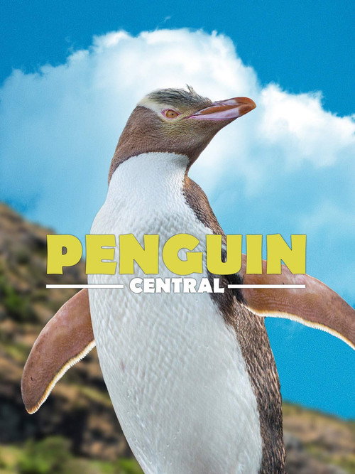 Movie poster for Penguin Central (2019)