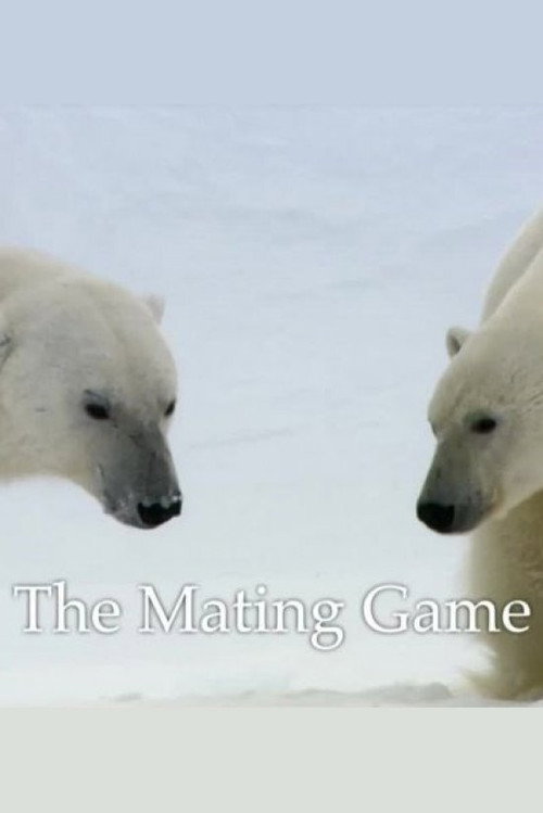 Movie poster for The Mating Game (2013)