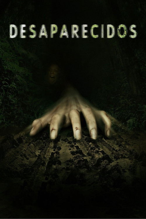 Movie poster for Missing (2011)